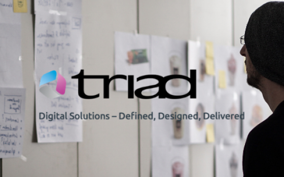 Triad Group Plc – Case study