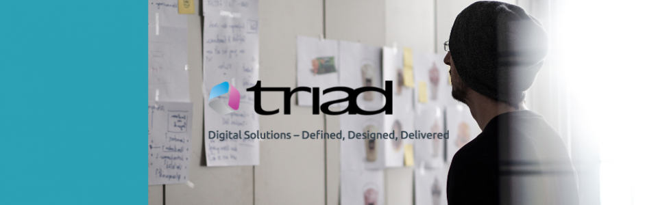 Triad Group Plc – Case study